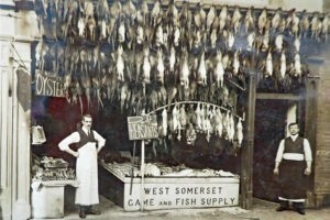 West Somerset Game and Fish Supply c 1910 Taunton Somerset