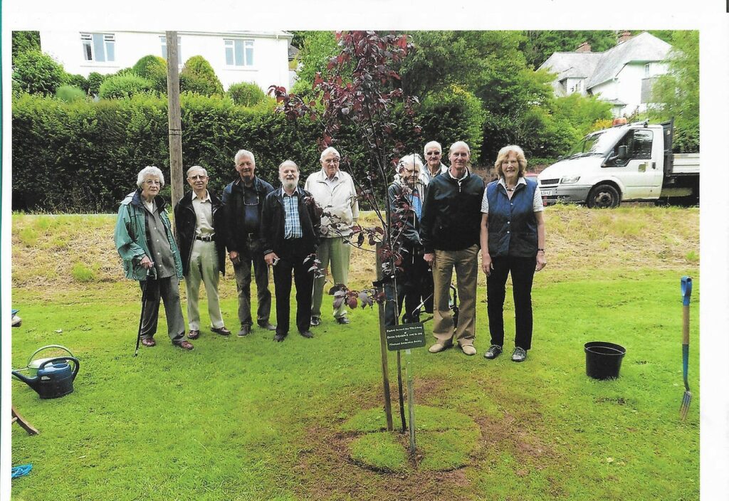Tree planted by Minehead Conservation Society at The Parks for the Queen’s 90th birthday celebrations