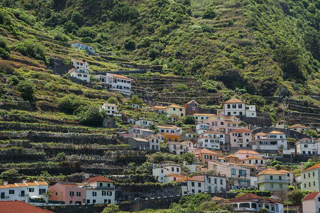 Madeira3