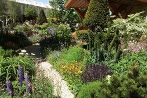 Naturalistic borders including topiary at Chelsea Flower Show