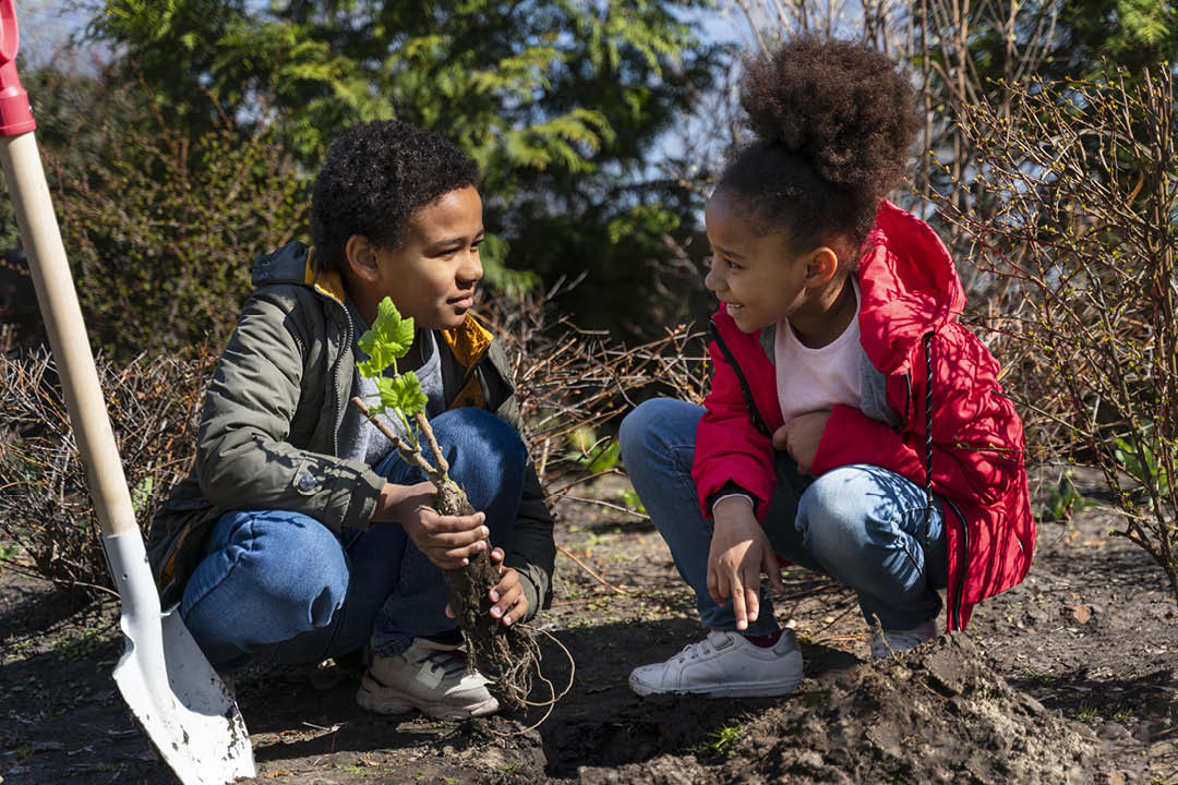 kids planting a tree