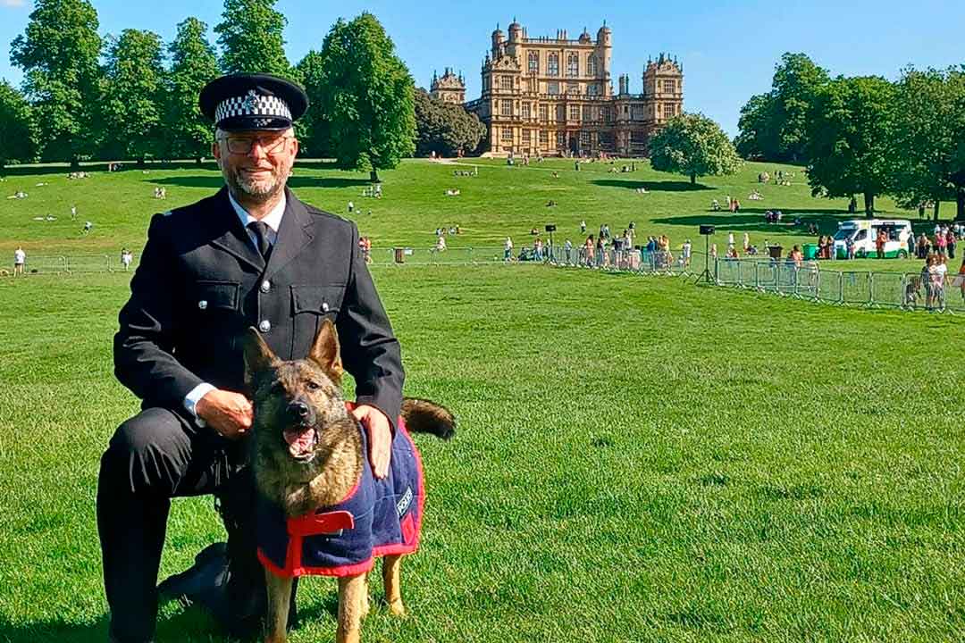Police dog Belle leads the pack after winning national police dog trials